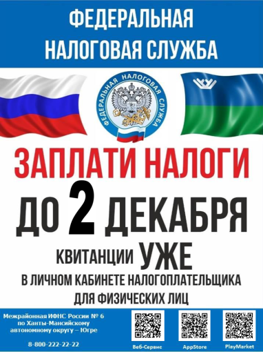 Не забудьте оплатить налоги! Не забудьте оплатить налоги!.