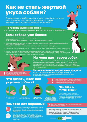 Укусы собак Укусы собак.